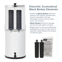 Black Berkey® Original Reinigungselemente